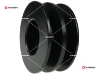 AP5008S